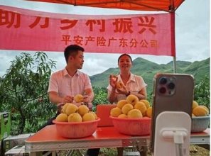 广东乳源：绿水青山长出“金山银山”